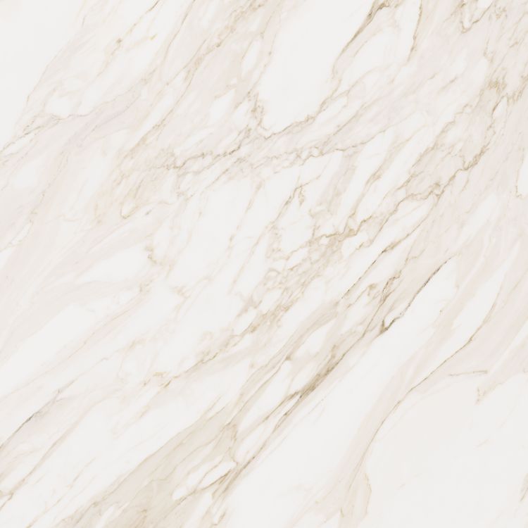Omnia Calacatta Matte 48 x 48